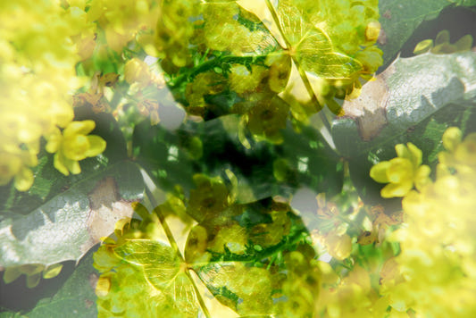 Green luxuriant et jaune abstrait art imprimé mural mural