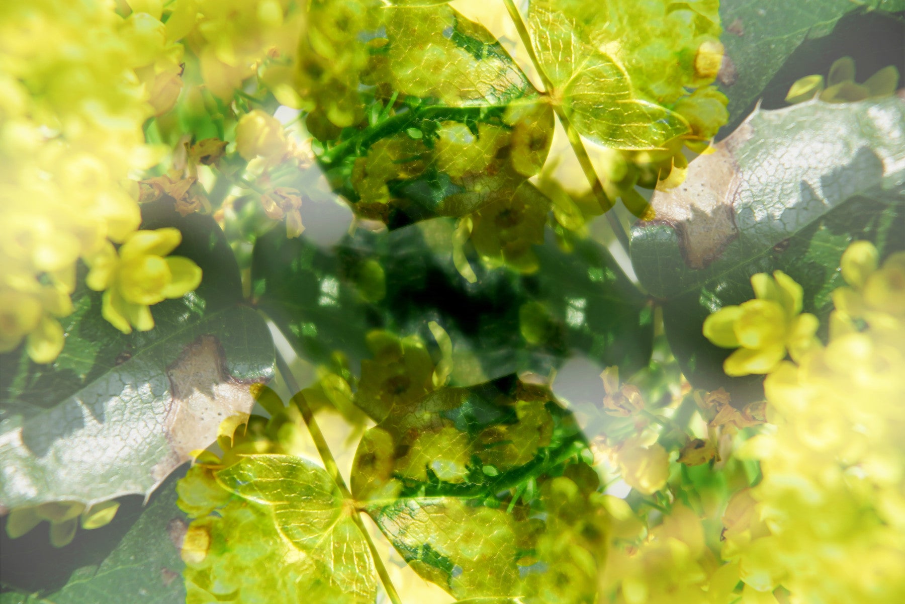 Green luxuriant et jaune abstrait art imprimé mural mural