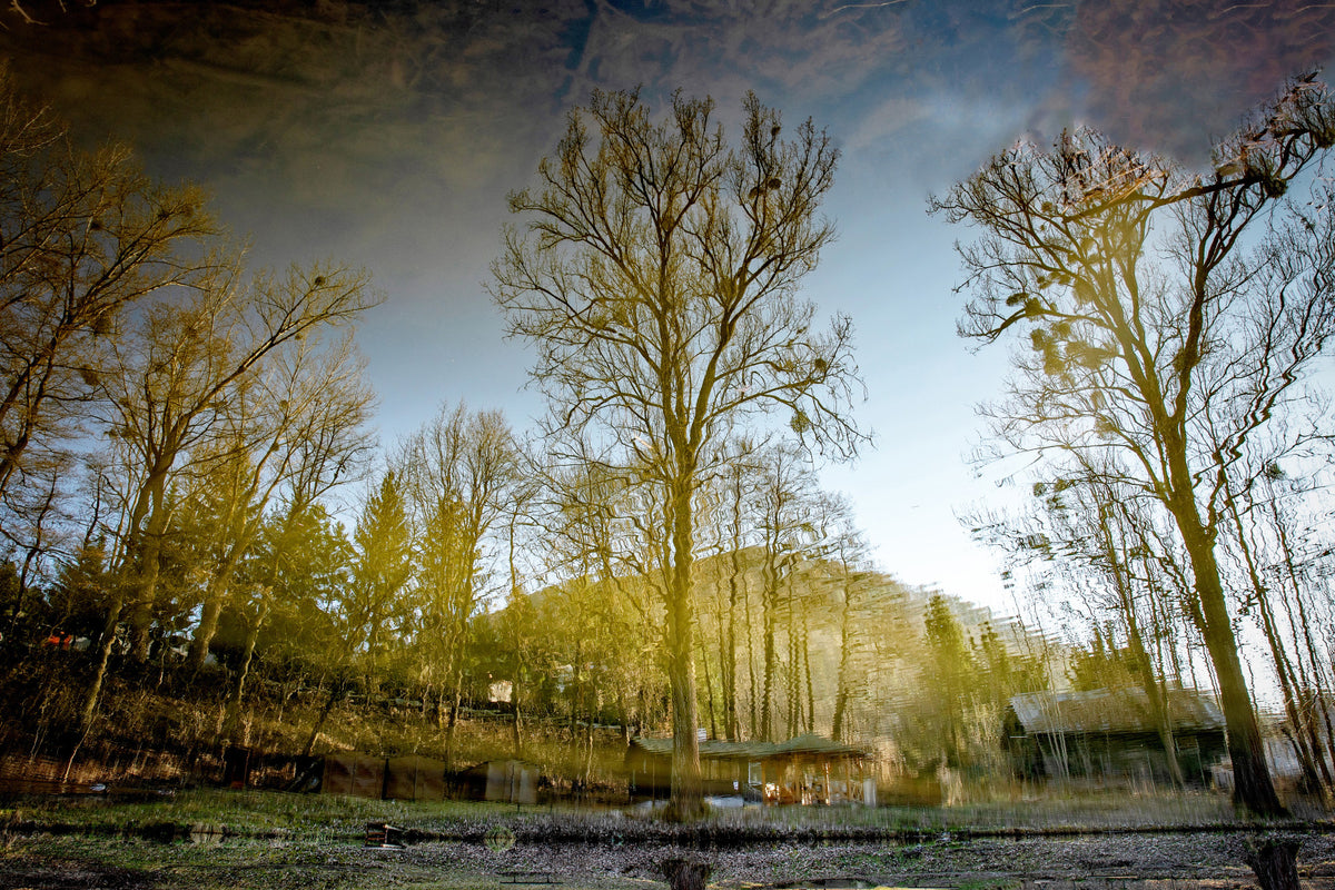 Serendene Reflexion von Bäumen in ruhigen Gewässern - Naturfotografie Printwand Wandgemälde
