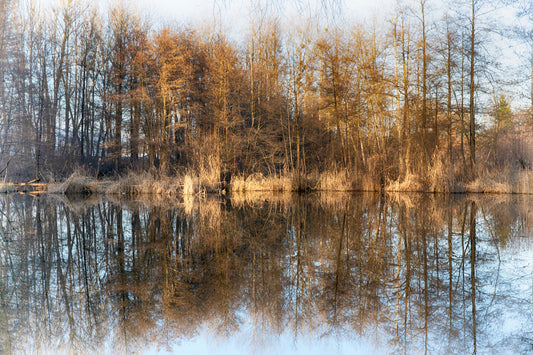 Querquile Reflexion von Herbstbäumen auf Wasser | Gelassene Naturfotografie Wandgemälde
