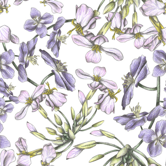 Spring is Calling Wallpaper⁠