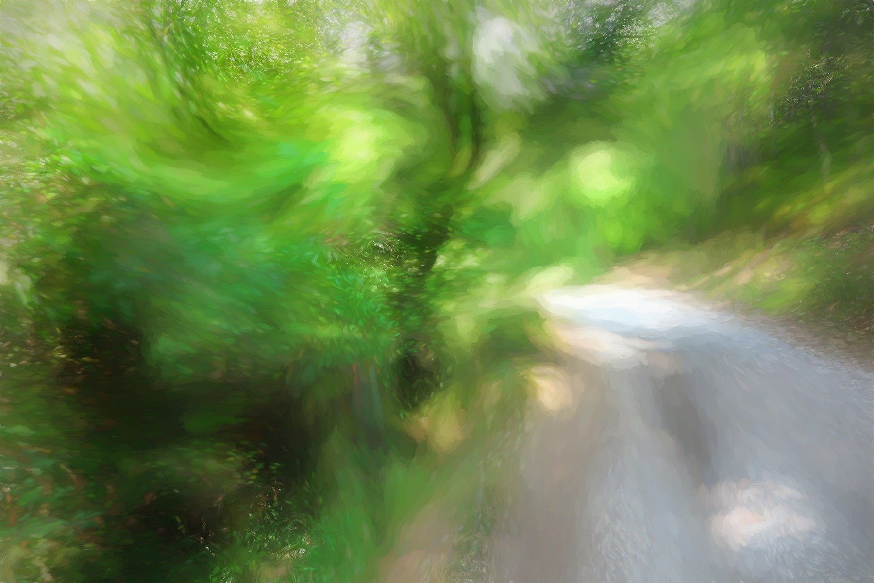 Lush Green Pathway Art Print | Serene Nature Photography | Blurred Light Effect Wall Mural