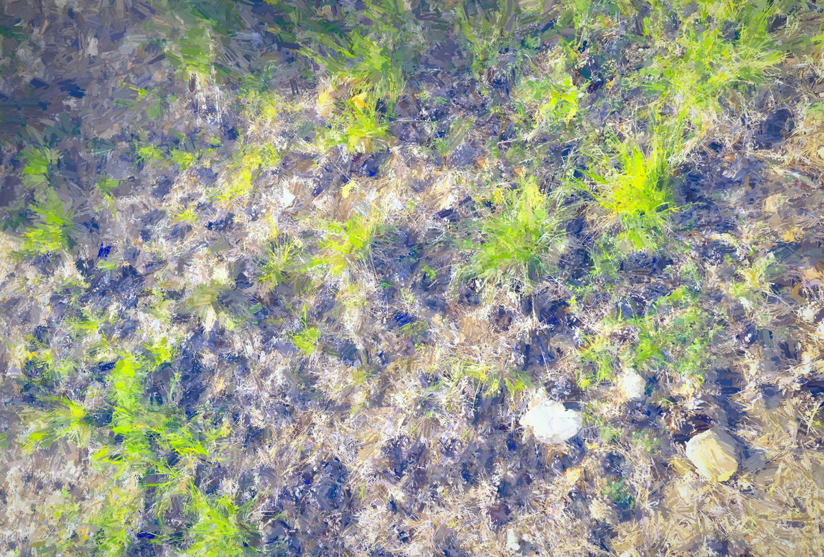 Organic Textures in Nature: Green Grass and Earth Tapestry Wall Mural in your room
