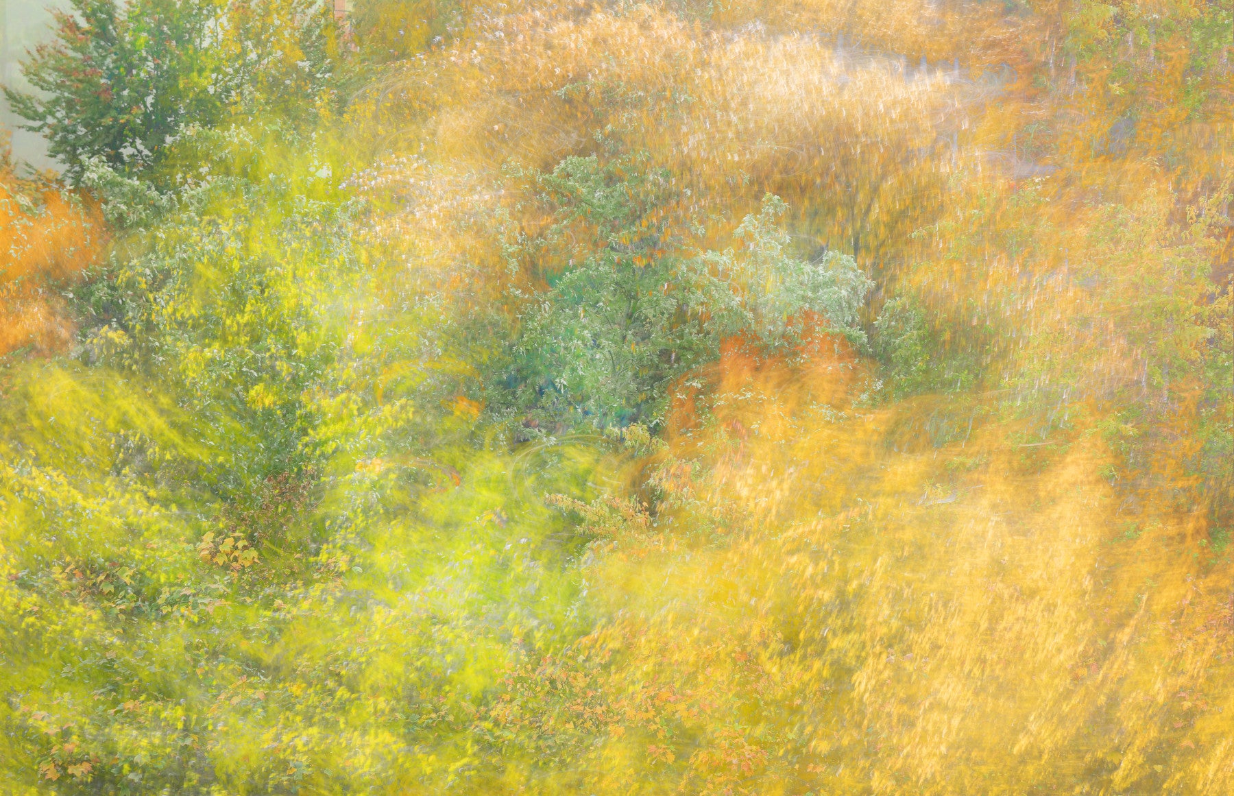 Paysage d'automne éthéré | Résumé Photographie de la nature | Murmure d'art forestier d'automne coloré murale