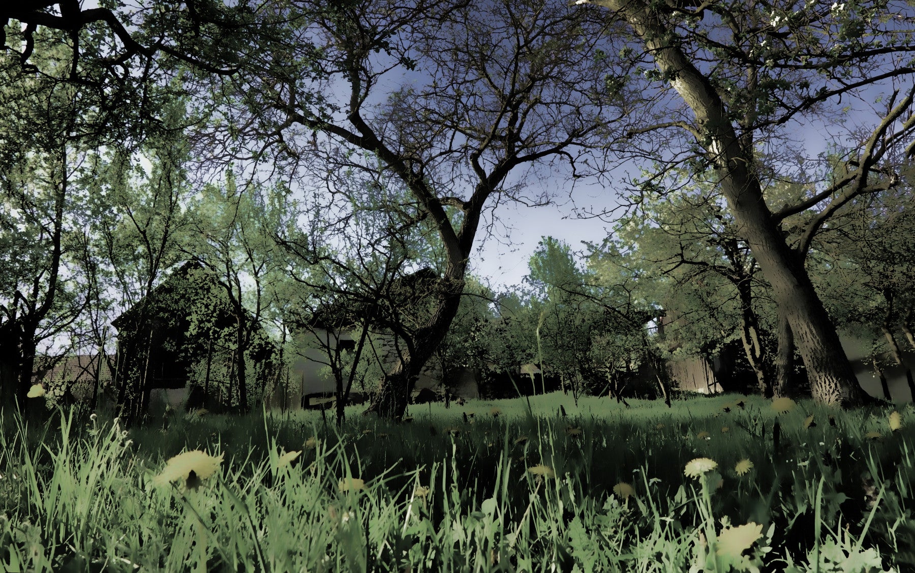 Serene Forest Landscape Art Print | Tranquil Nature Photography | Greenery and Trees Wall Mural