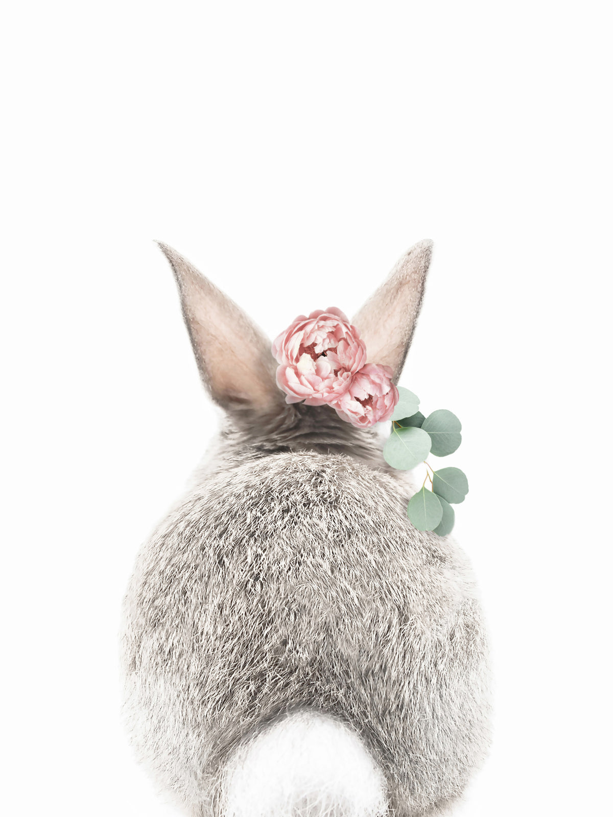 Bunny Bloom Bum Wall Mural in your room