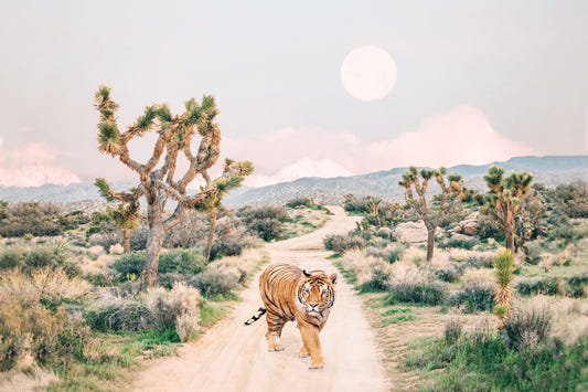 Wandernde Tigerwand Wandgemälde