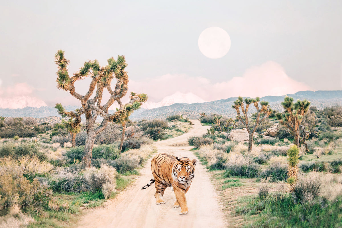 Murale de mur de tigre errant in your room — zoomed