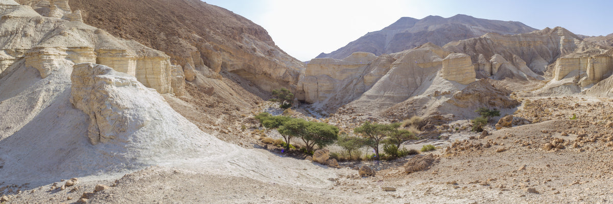 Negev Desert Wall Wandbild in your room