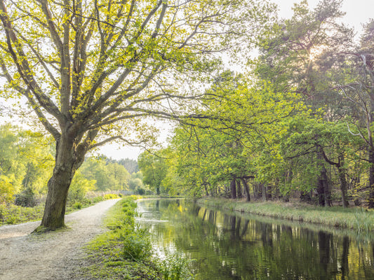 Canal sur une murale murale de printemps