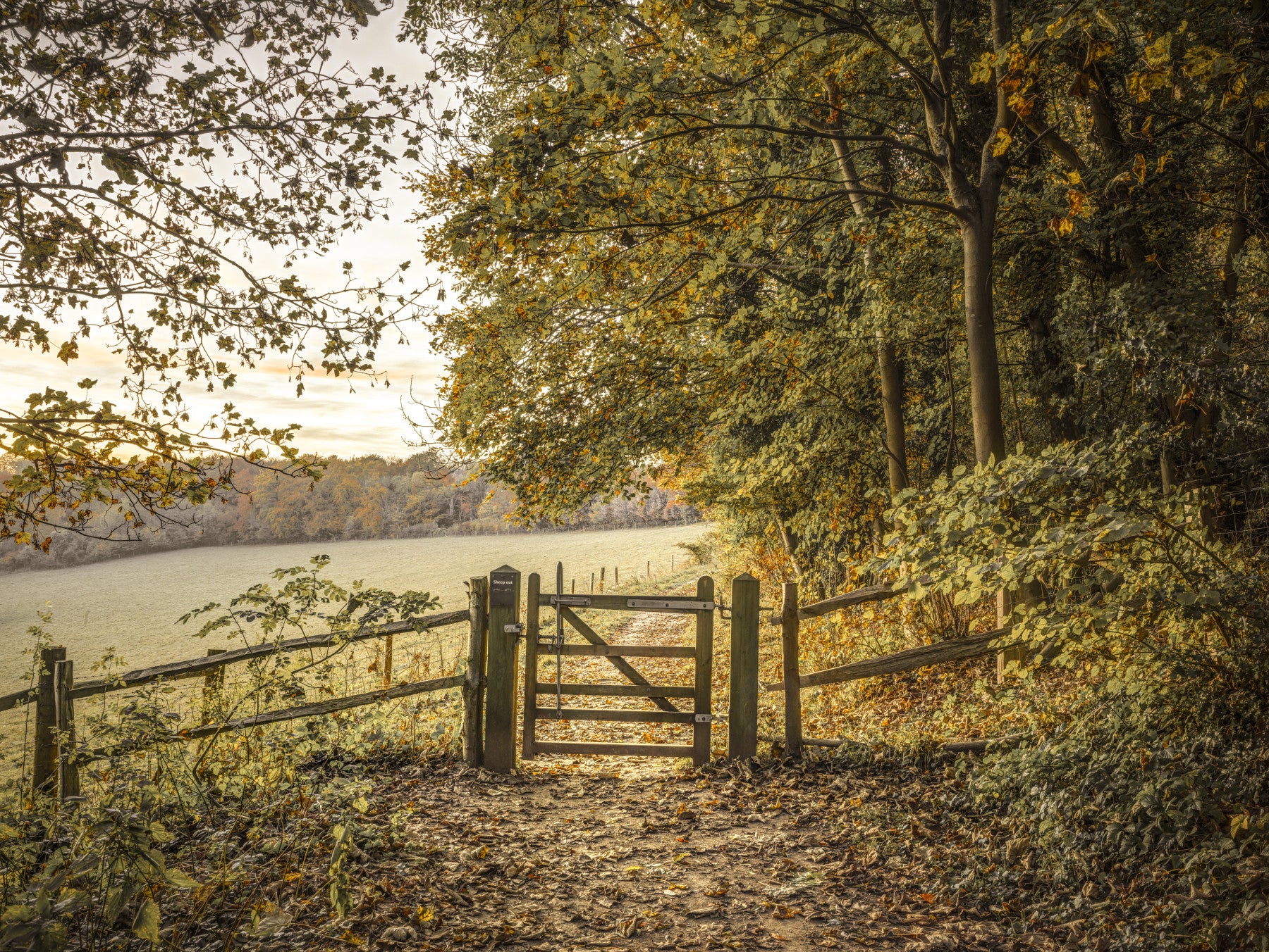 Autumnal Gateway Wall Mural