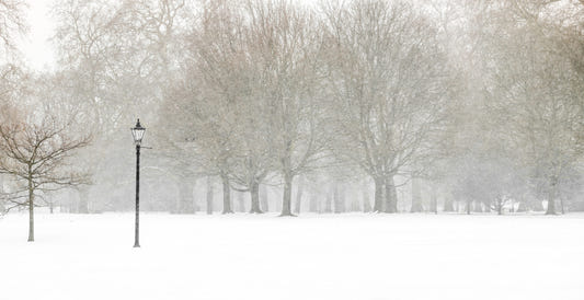 Hyde Park à Winter Wall Mural