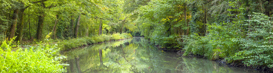 Emerald Waters vægmaleri