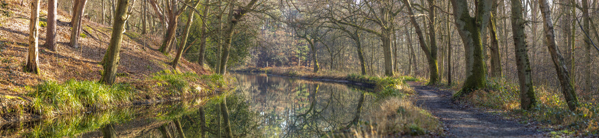 Waldspiegel Wandmalerei in your room — zoomed