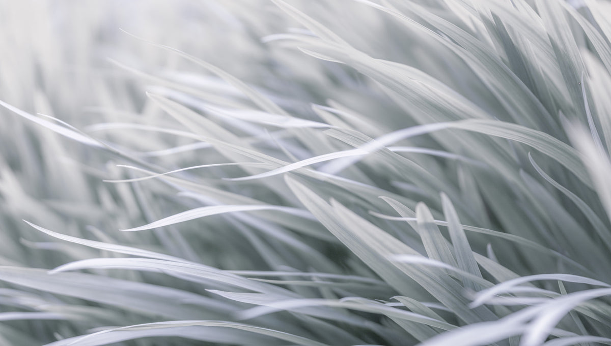 Murale de paroi gras wavy gris in your room — zoomed