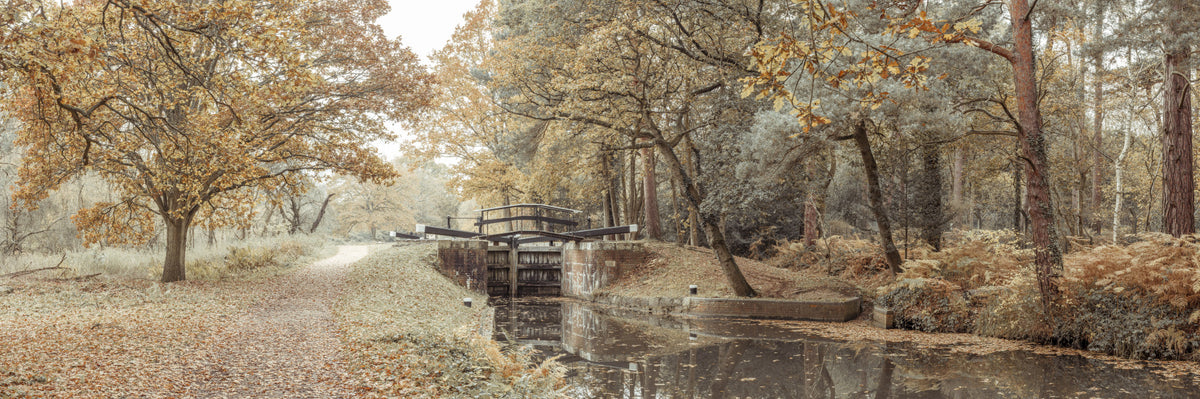 Canal's Embrace Wall Mural