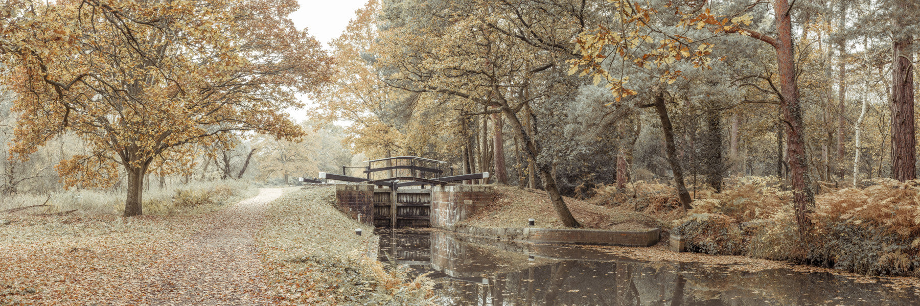Canal's Embrace Wall Mural in your room — zoomed