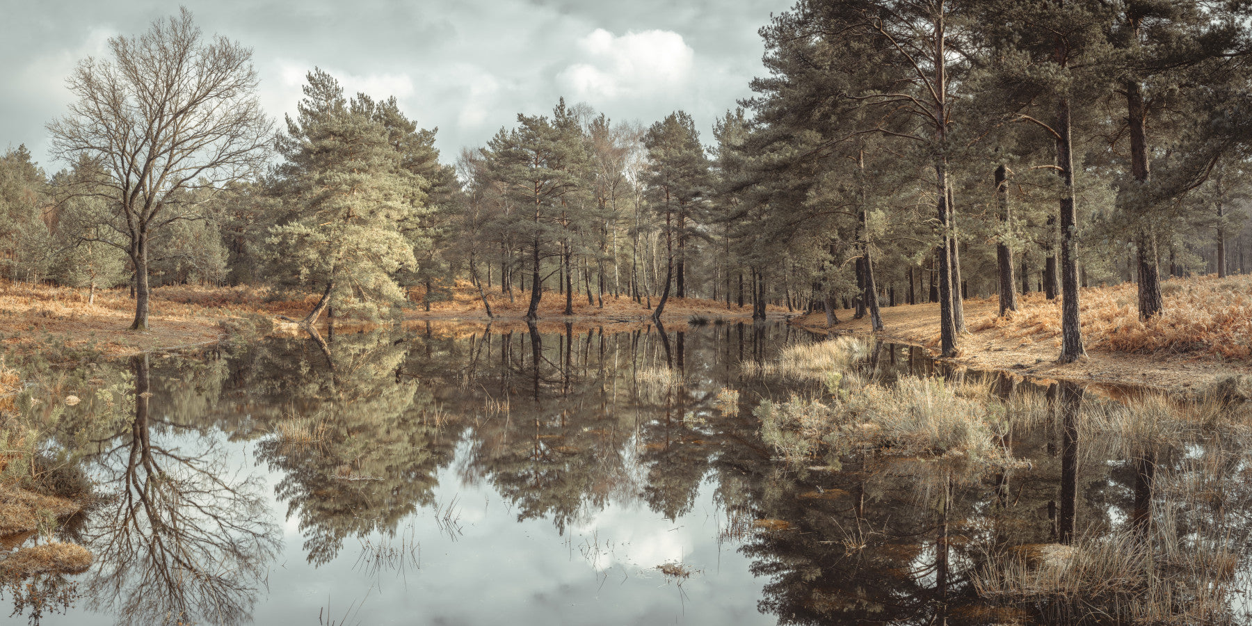 Reflektierte Stille Wandmalerei
