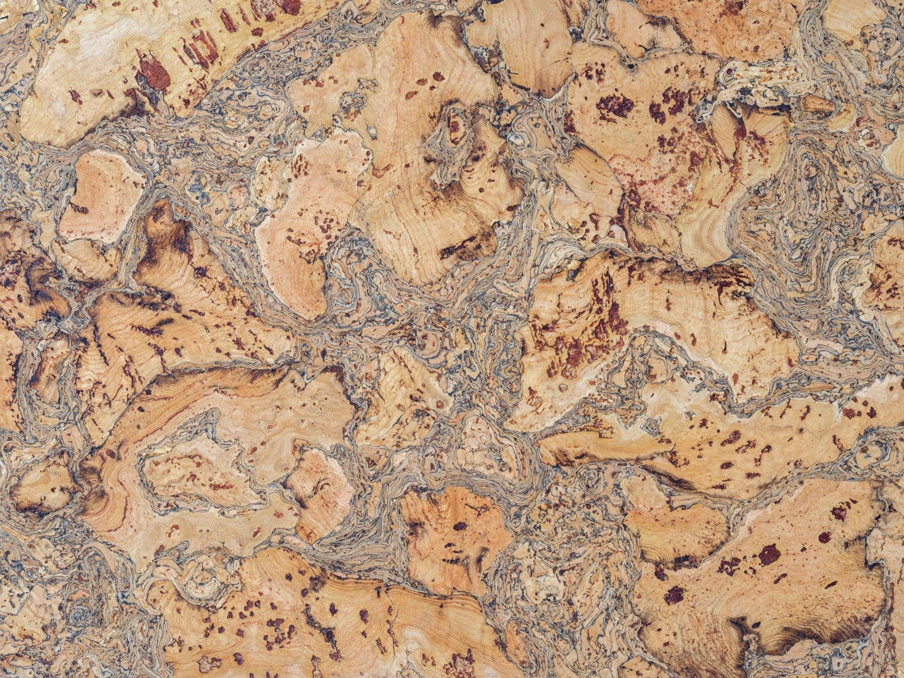 Ziemski Cork Surface Design Mural