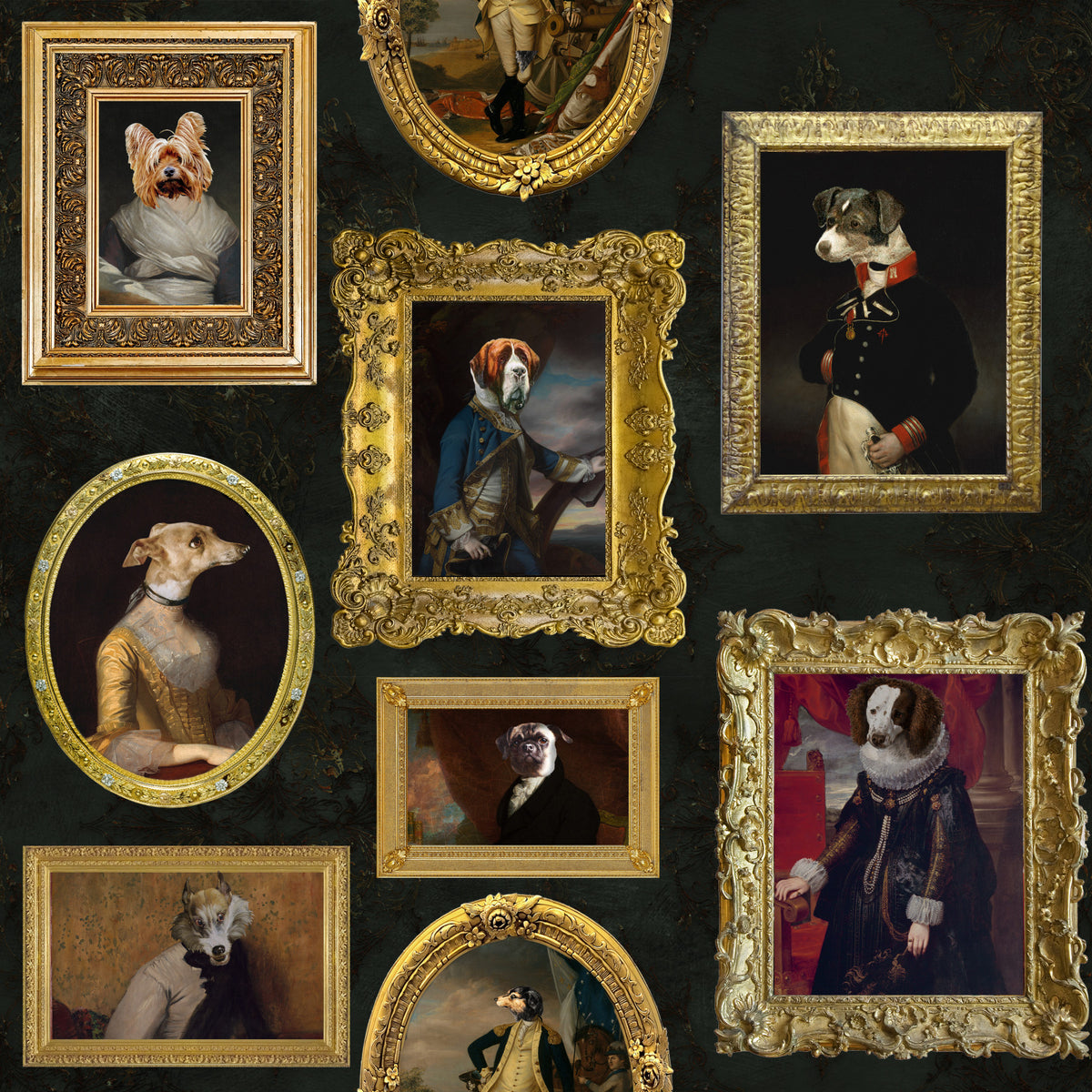 Pawtraits Gallery Wallpaper⁠ in your room — zoomed