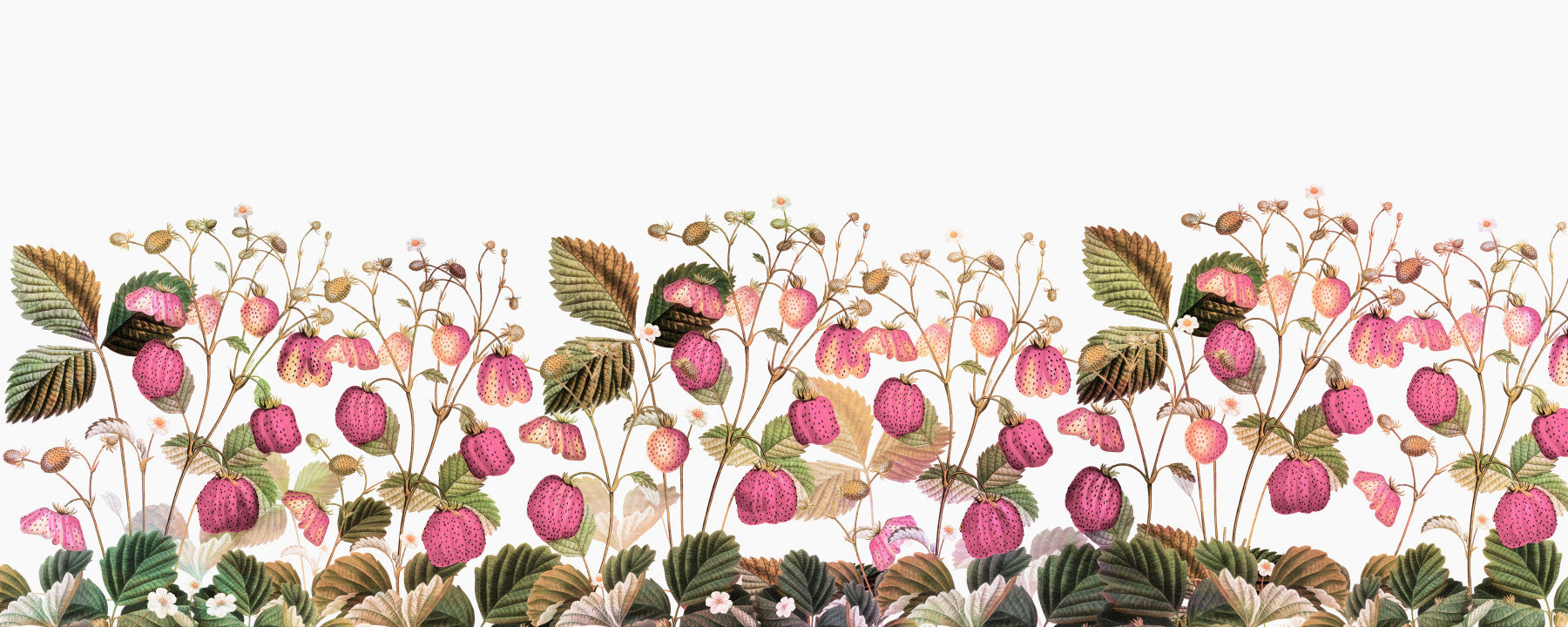 Erdbeergarten Wallpaper⁠