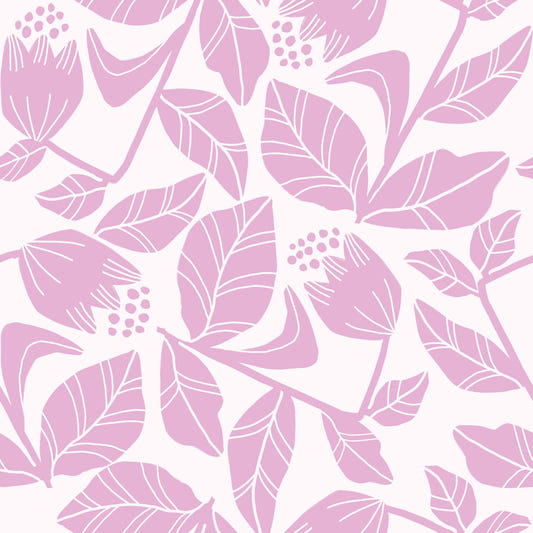 Hübsch in rosa blühen wallpaper⁠