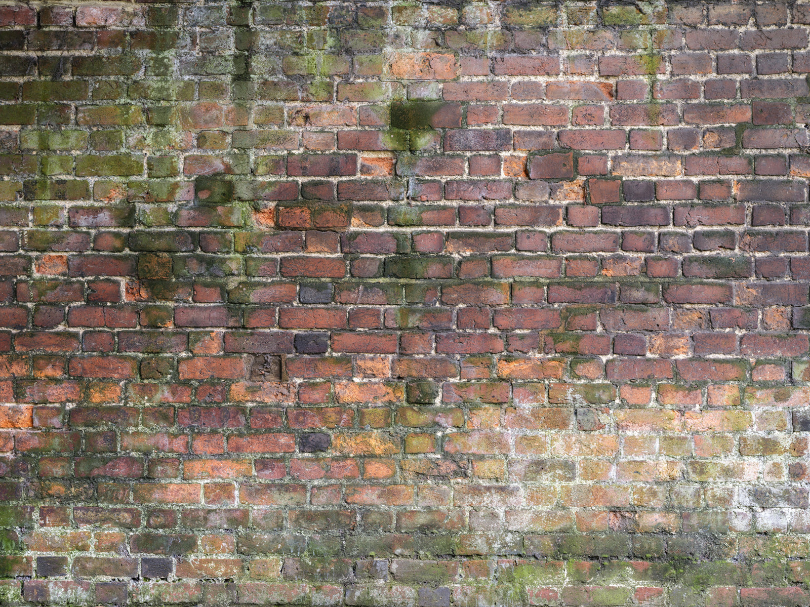 Peinture murale murale altérée