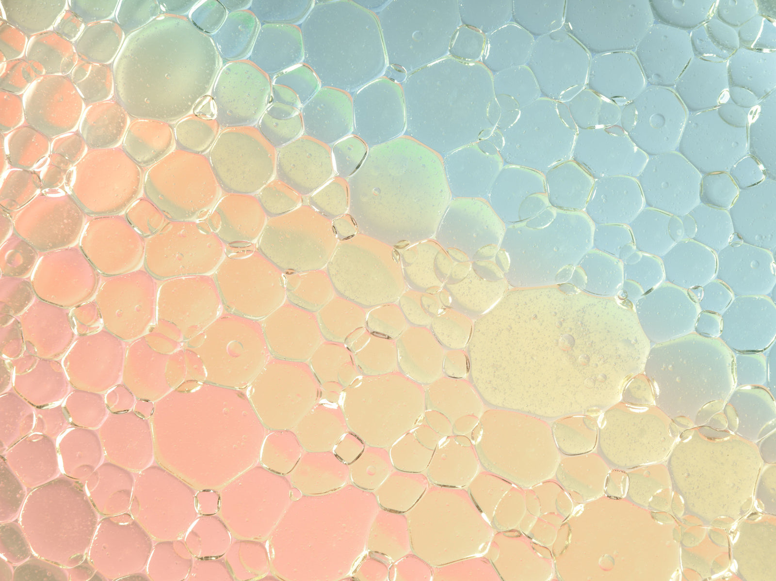Rainbow Bubbles mural mural
