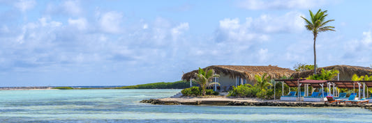 Murale murale della costa bonaire