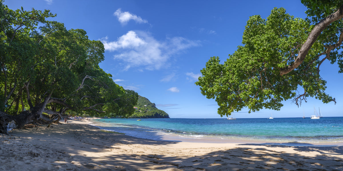 Coastal Paradise Vibes Wall Mural in your room — zoomed