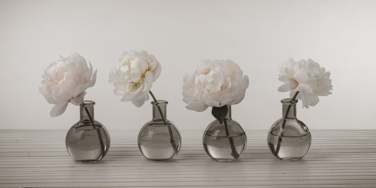 Blushing Peonies Wall Mural in your room