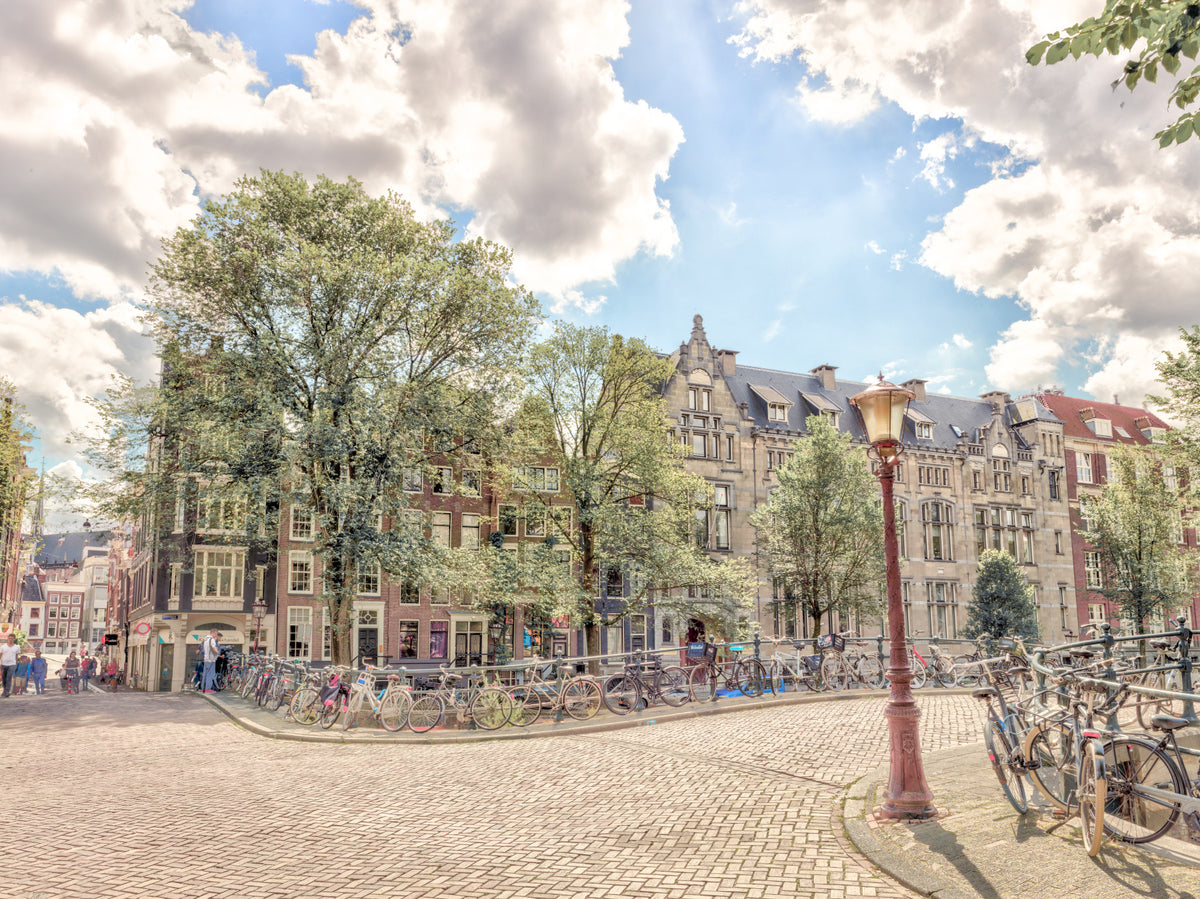 Amsterdam Streets mural mural in your room — zoomed