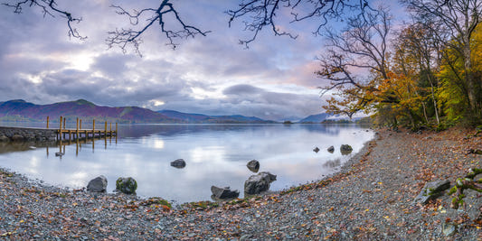 Lakeside Calm Wall Mural