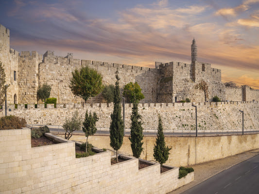 Torre di David Wall Mural