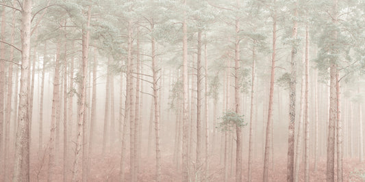 Misty Woodlands Wall Mural
