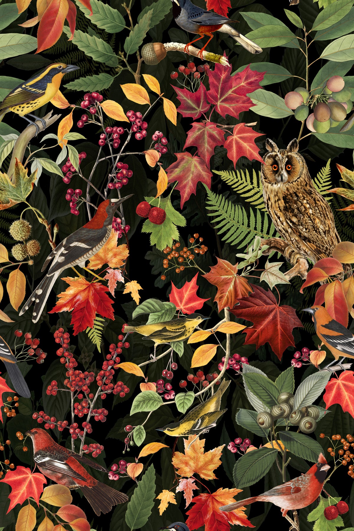 Autumn Owl Woodland Impression Black Wallpaper⁠ in your room