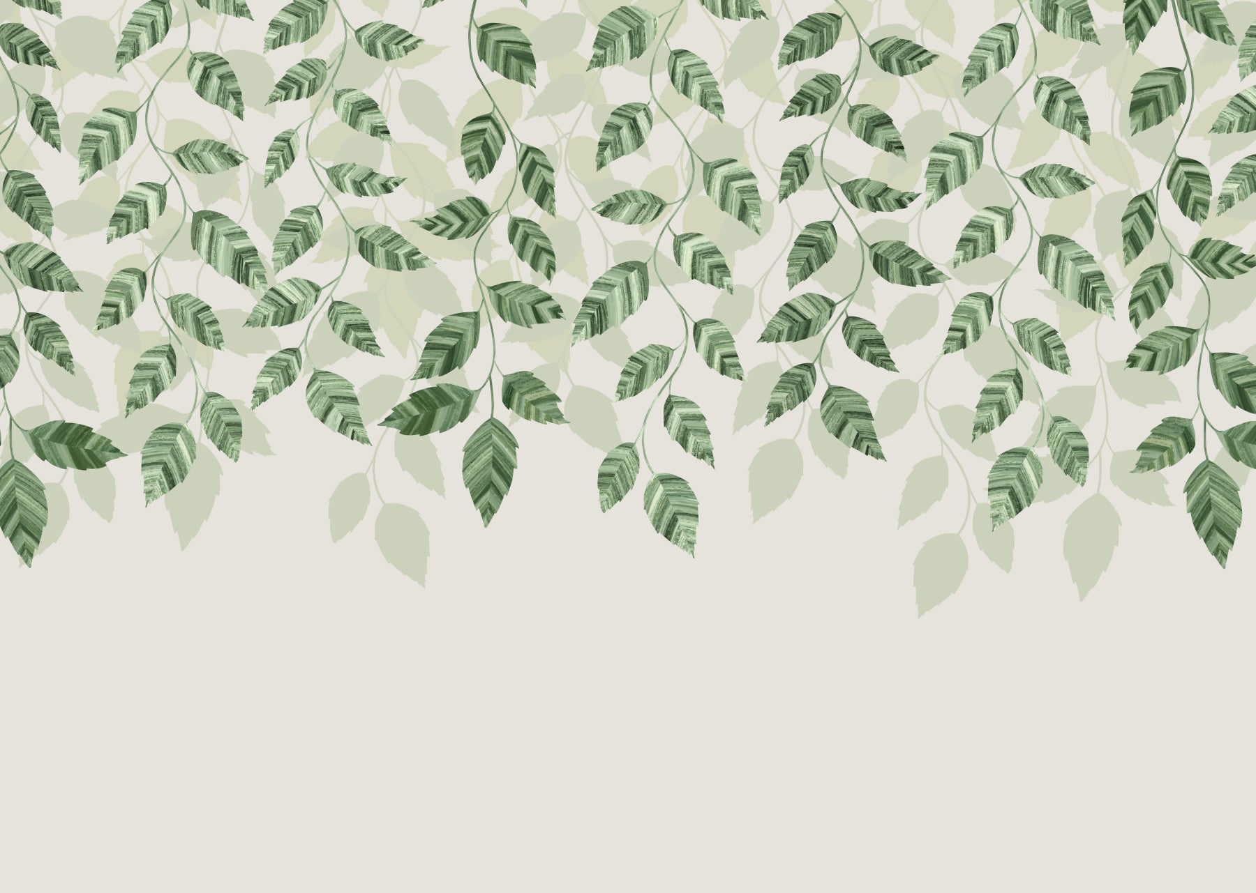 Green pothos leaves Wall Mural