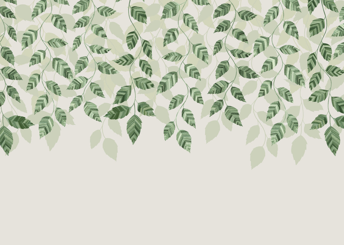 Green pothos leaves Wall Mural in your room — zoomed