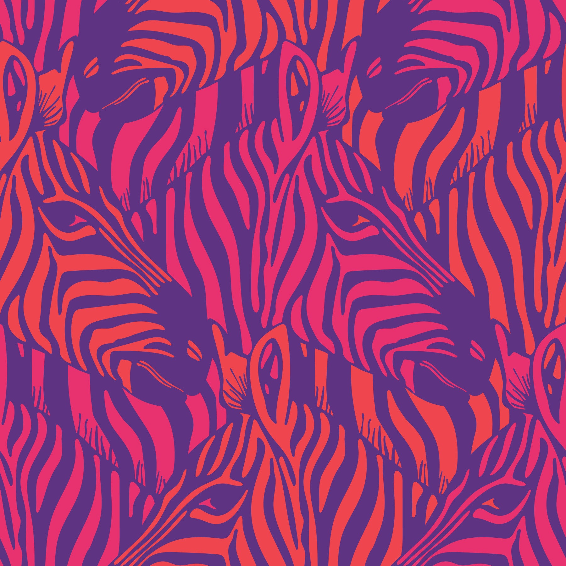 Zebra Herd Wild Animal Stripes Glam Coral Orange Fuchsia Pink Purple Wallpaper⁠ in your room — zoomed