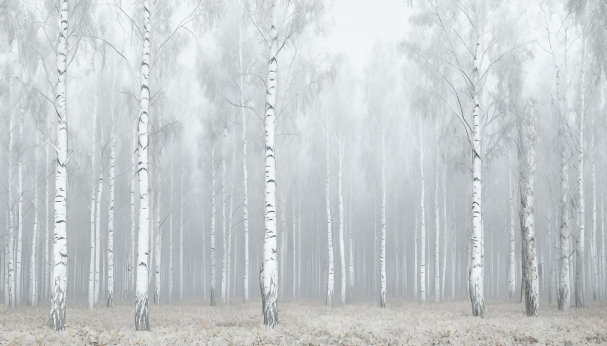 Winter White Woods Wall Mural in your room — zoomed