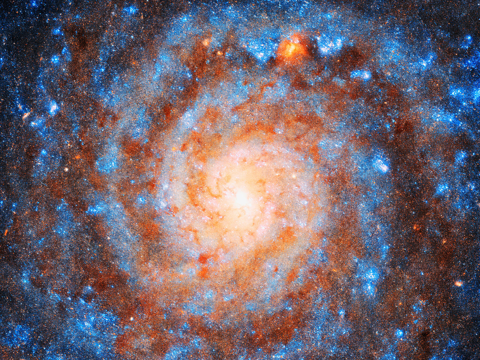 Galactic Swirl Wall Mural