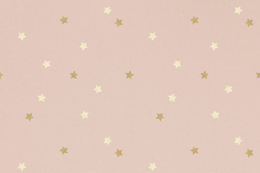 Golden Stars on Blush Wall Mural