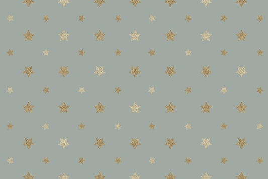 天の輝く壁の壁画