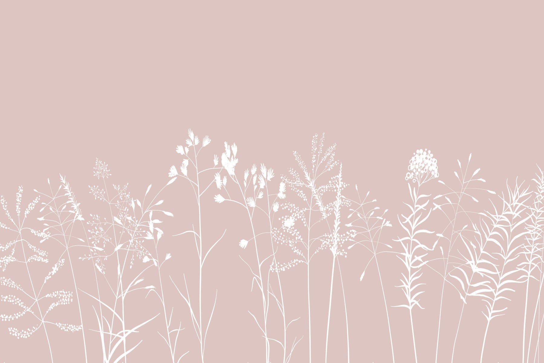 Blush botanicals mural de perete
