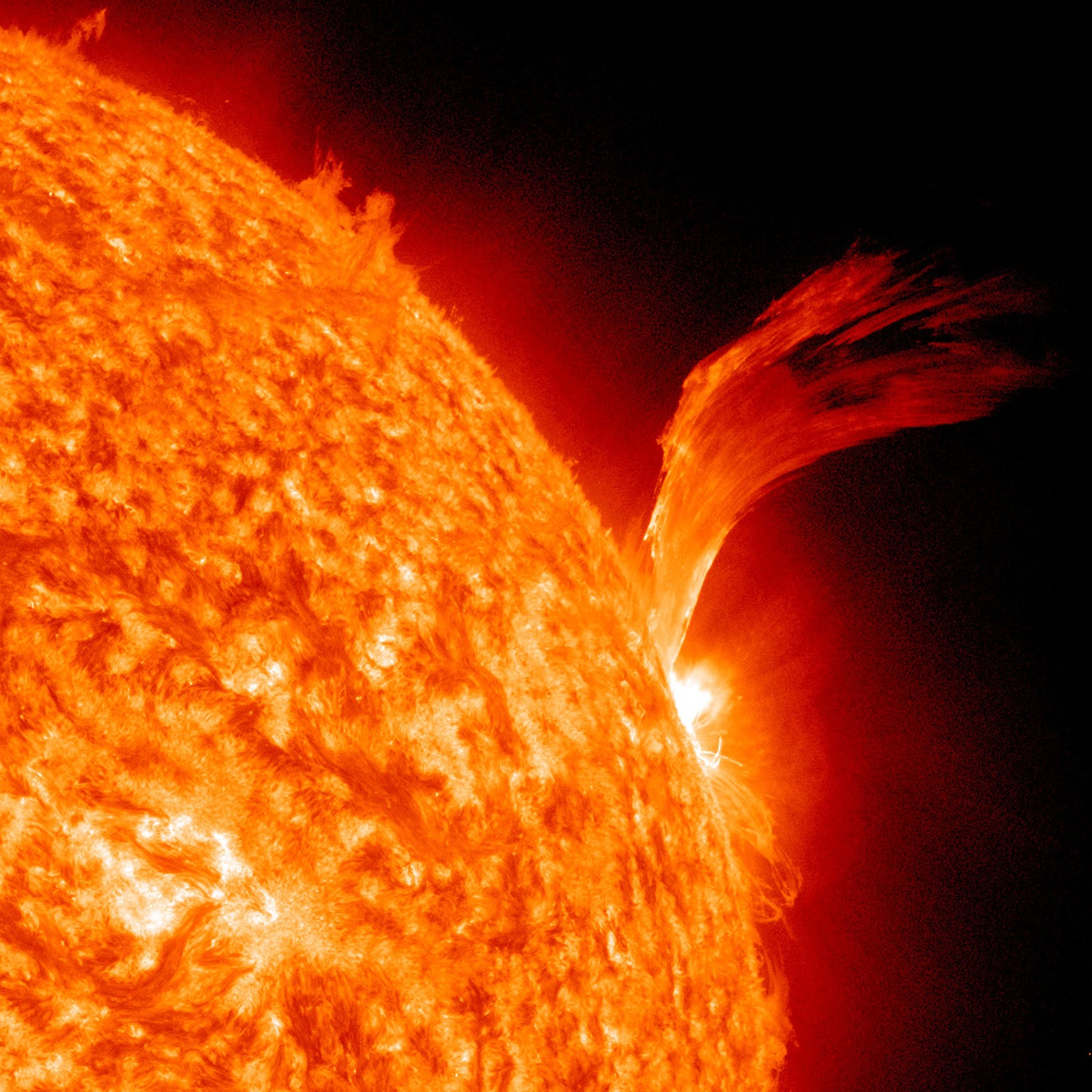Sun's Fury Wall Mural
