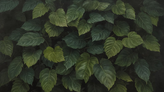 Foliage vert foncé murale murale