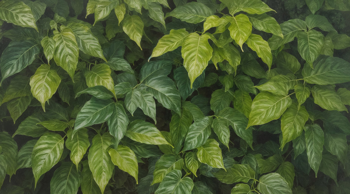 Verdant Escape Wall Mural in your room — zoomed