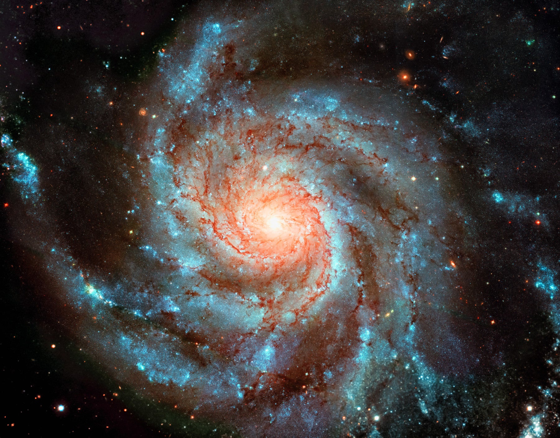Galactic Dream Wall Mural