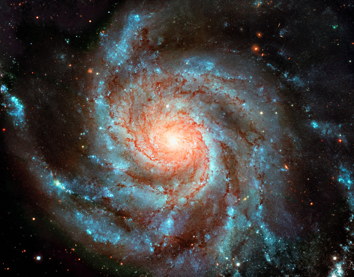 Galactic Dream Wall Mural in your room — zoomed