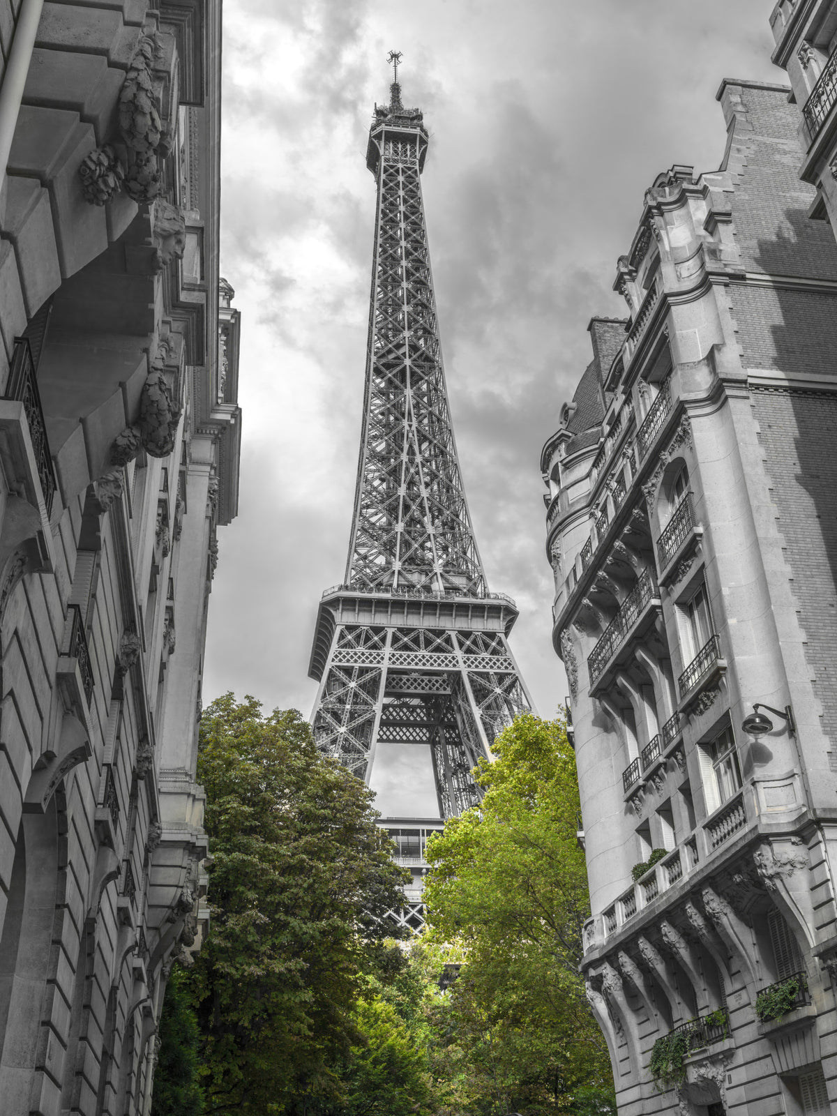 Paris my Love Wall Mural in your room